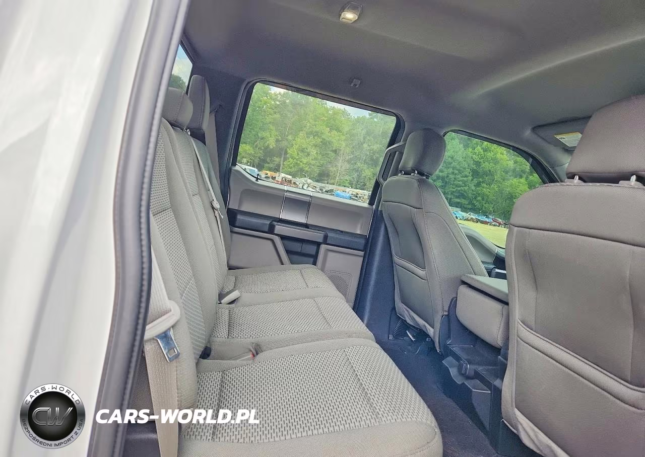 2019 Ford F150 Supercrew VIN:1FTEW1EP3KFB87461 - 10