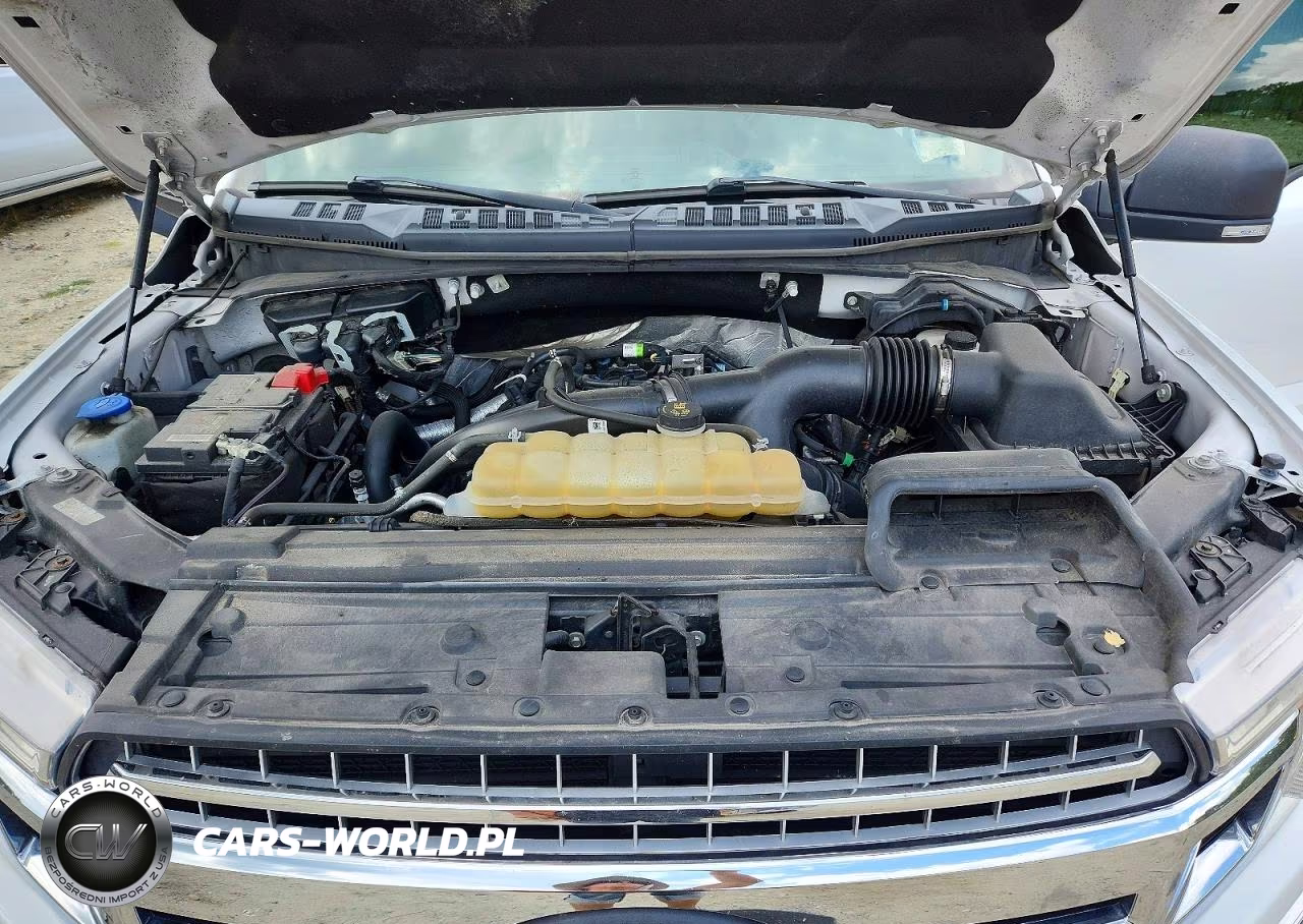 2019 Ford F150 Supercrew VIN:1FTEW1EP3KFB87461 - 11