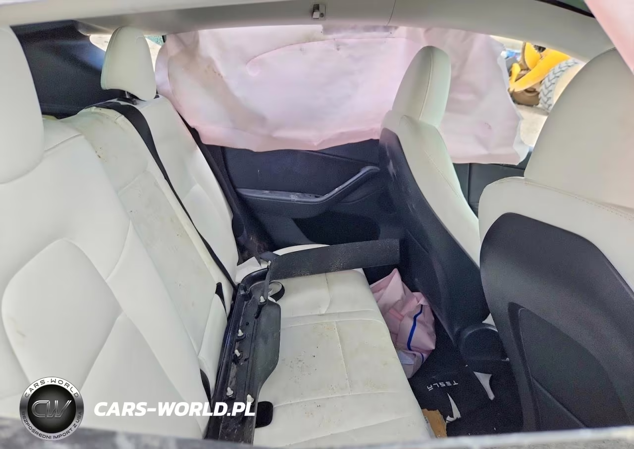 2023 Tesla Model Y VIN:7SAYGDEF1PF712860 - 10