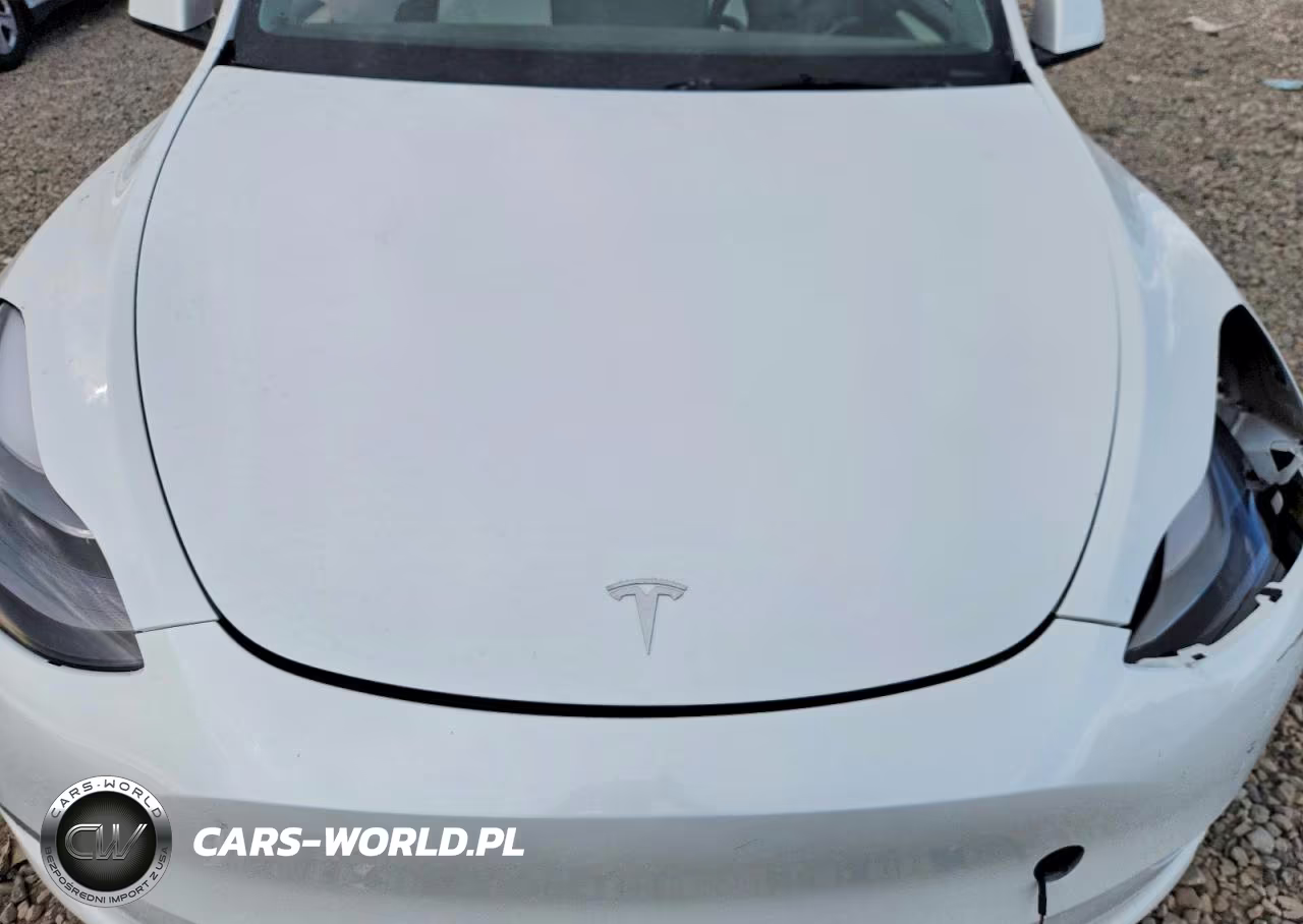2023 Tesla Model Y VIN:7SAYGDEF1PF712860 - 11