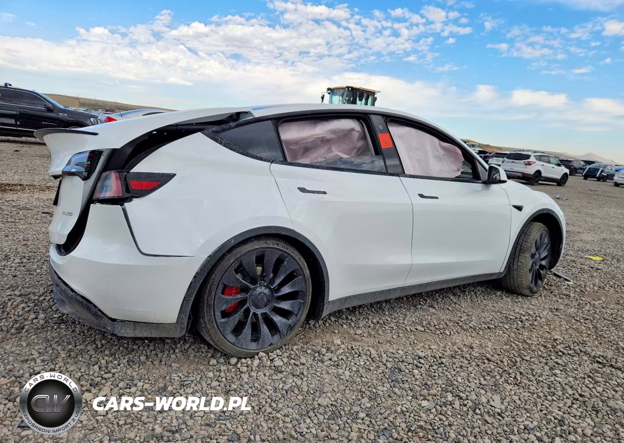 2023 Tesla Model Y VIN:7SAYGDEF1PF712860 - 3