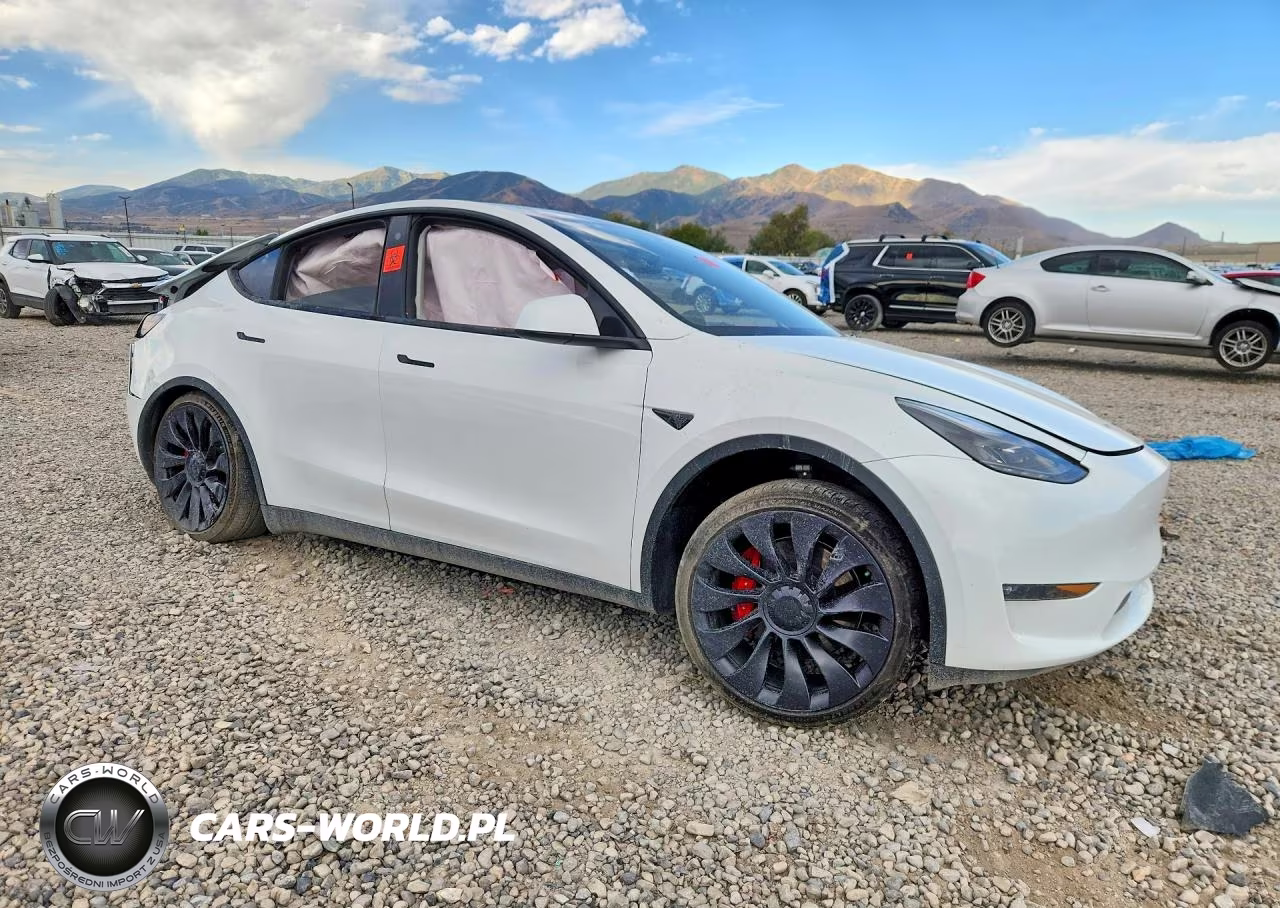 2023 Tesla Model Y VIN:7SAYGDEF1PF712860 - 4