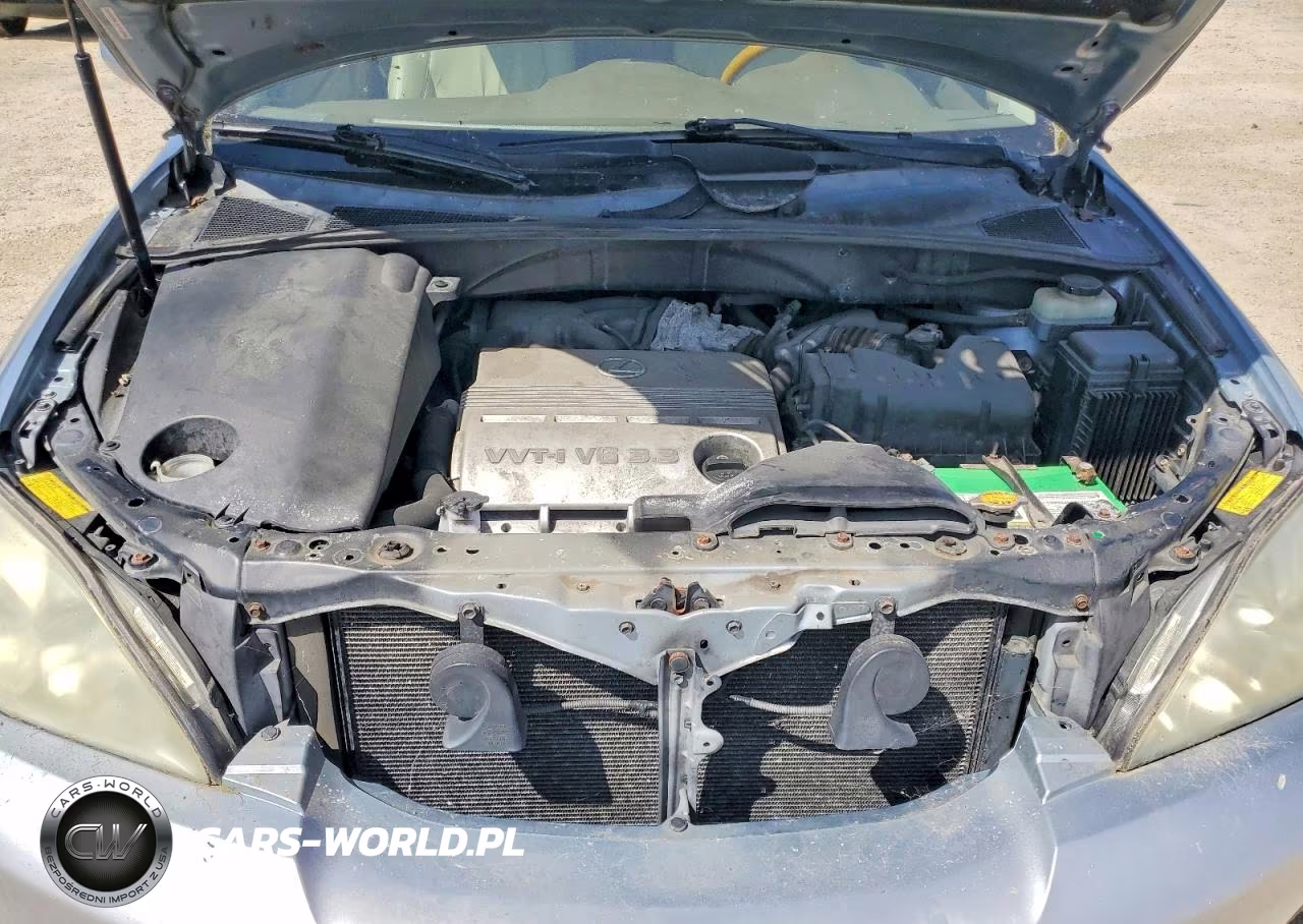 2005 Lexus Rx 330 VIN:JTJGA31U650057161 - 11