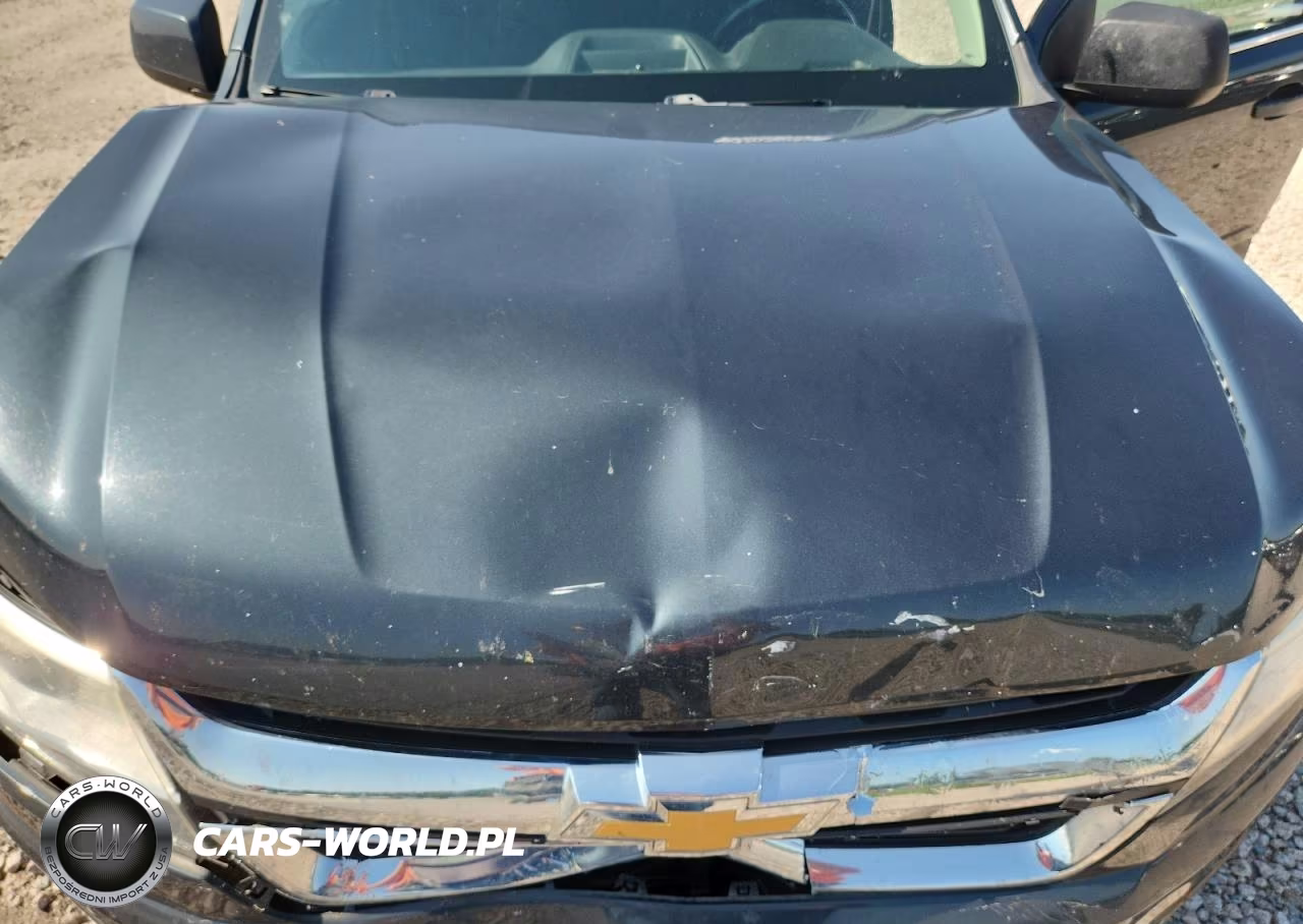 2018 Chevrolet Colorado Lt VIN:1GCGSCEN8J1133387 - 11