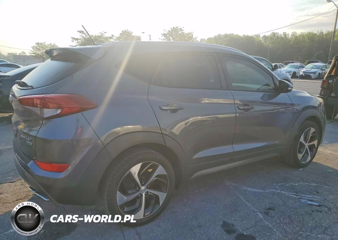 2016 Hyundai Tucson Sport VIN:KM8J3CA20GU193858 - 3