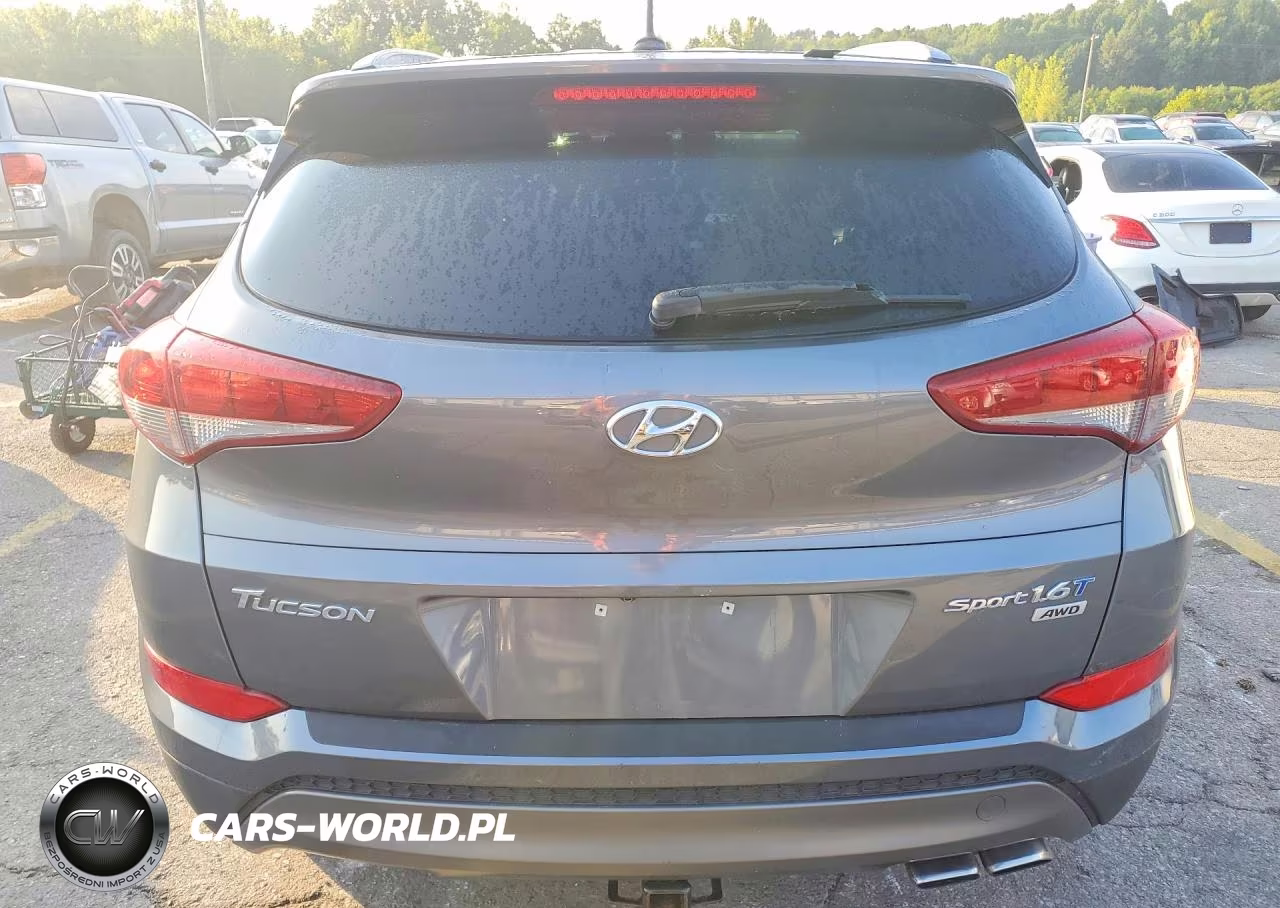 2016 Hyundai Tucson Sport VIN:KM8J3CA20GU193858 - 6