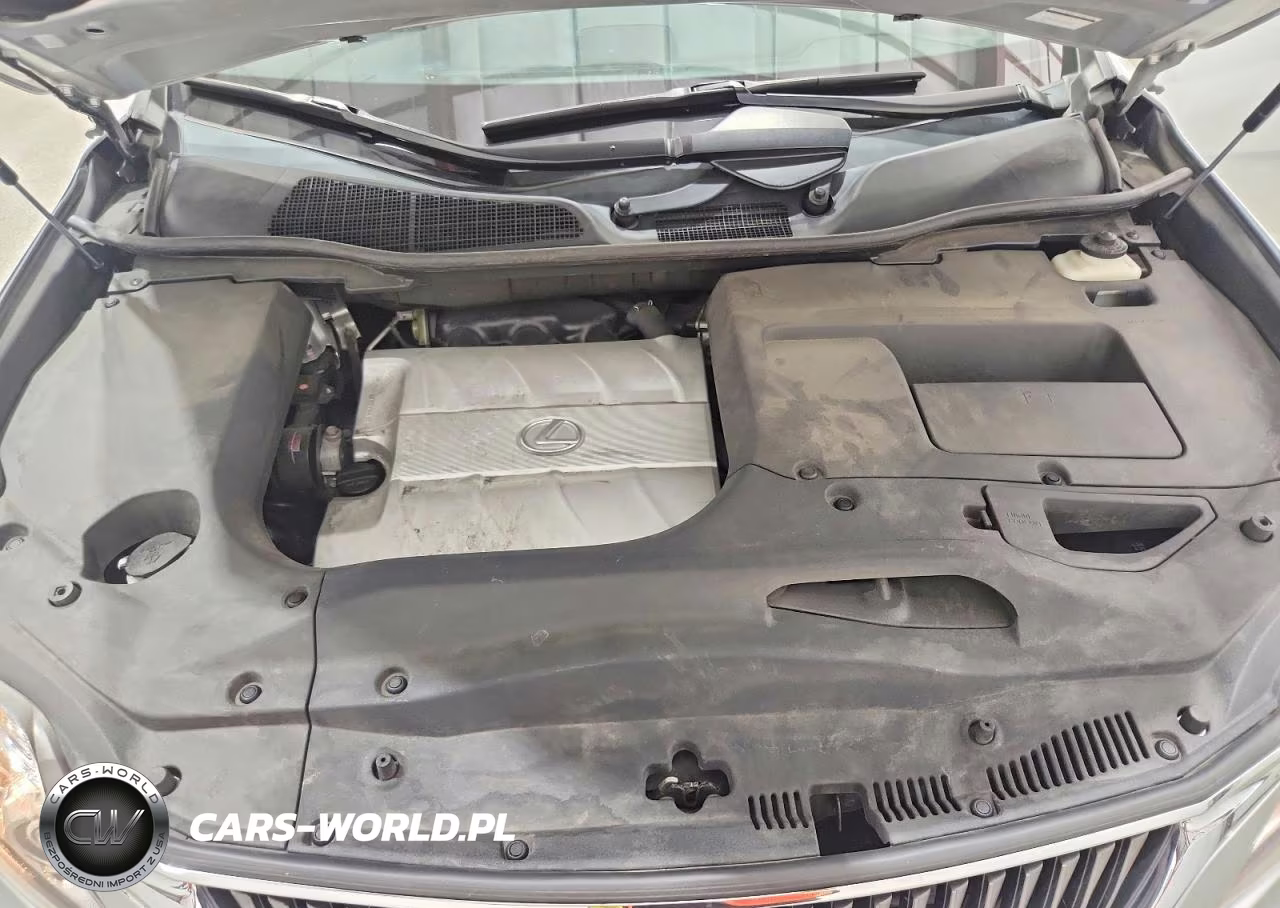 2010 Lexus Rx 350 VIN:2T2ZK1BA9AC021820 - 12