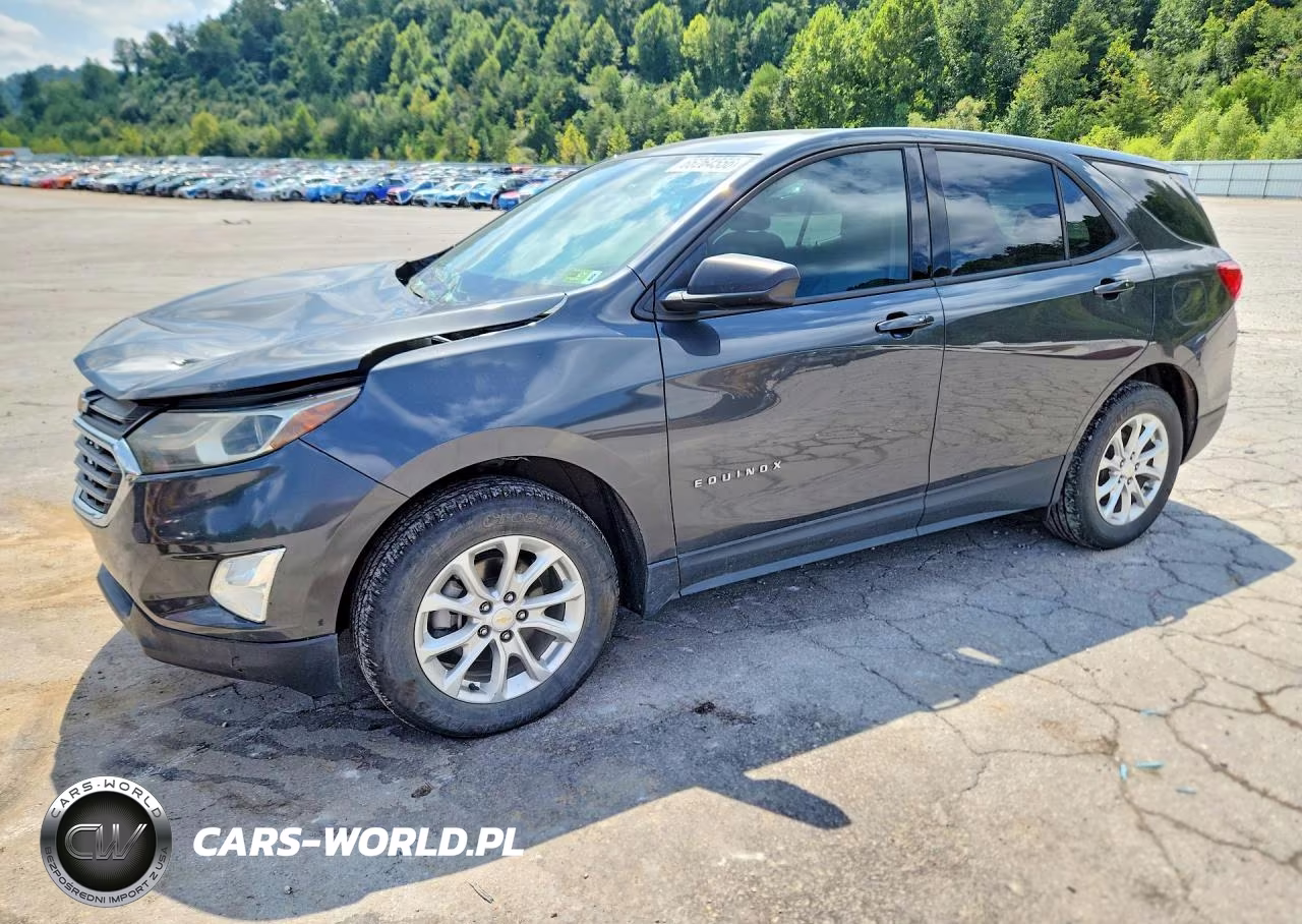 2019 Chevrolet Equinox Ls – zdjęcie 1 z 13