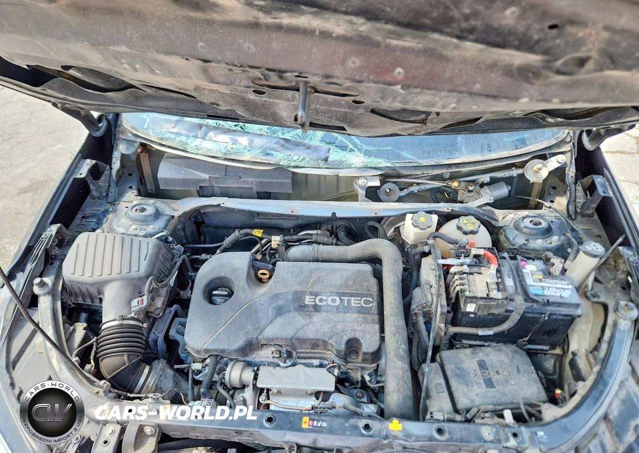2019 Chevrolet Equinox Ls VIN:2GNAXSEV9K6265100 - 12