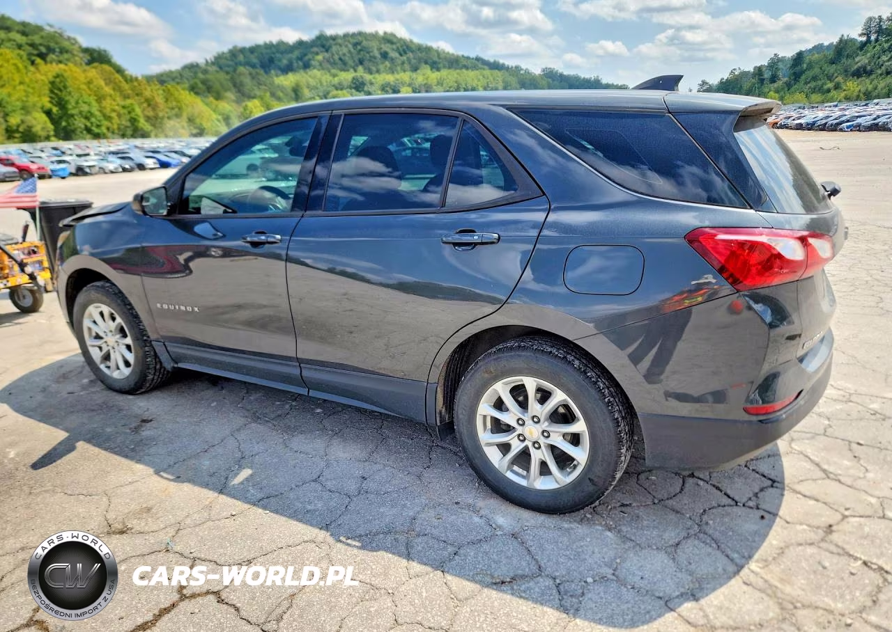 2019 Chevrolet Equinox Ls VIN:2GNAXSEV9K6265100 - 2