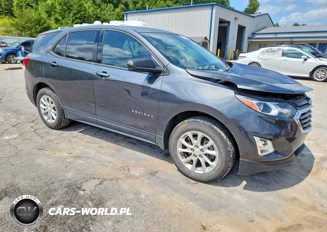 2019 Chevrolet Equinox Ls VIN:2GNAXSEV9K6265100 - 4