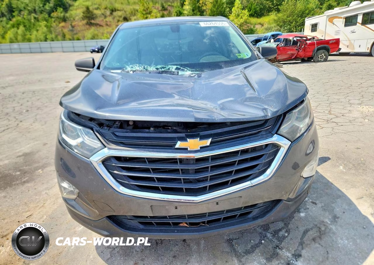 2019 Chevrolet Equinox Ls VIN:2GNAXSEV9K6265100 - 5