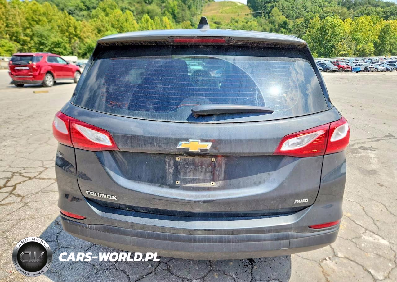 2019 Chevrolet Equinox Ls VIN:2GNAXSEV9K6265100 - 6