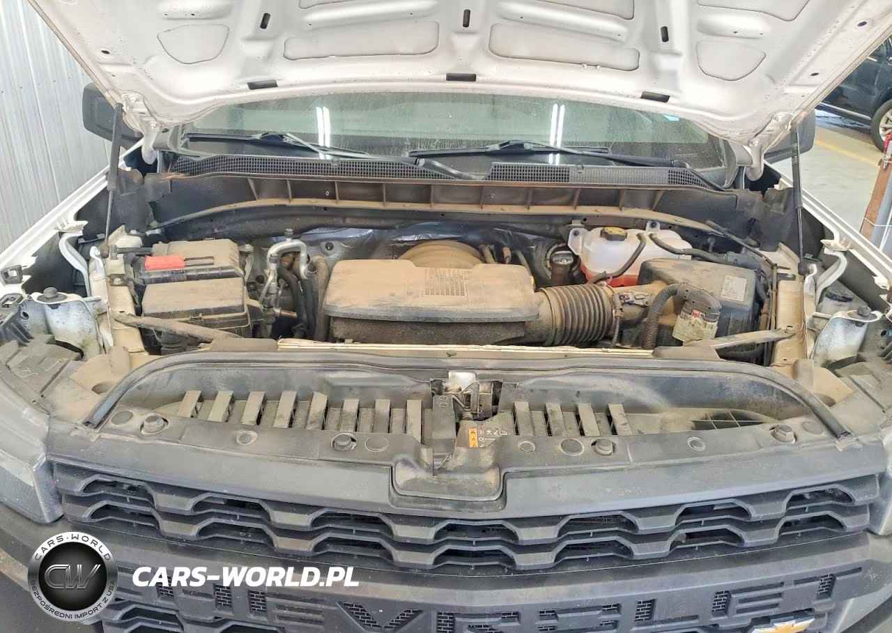 2020 Chevrolet Silverado C1500 VIN:3GCNWAEH9LG171306 - 11