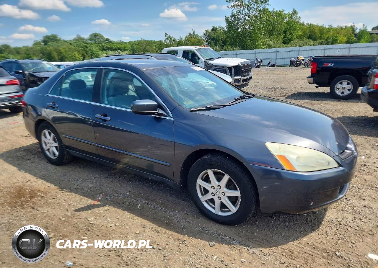 2004 Honda Accord Lx VIN:1HGCM56324A174914 - 4
