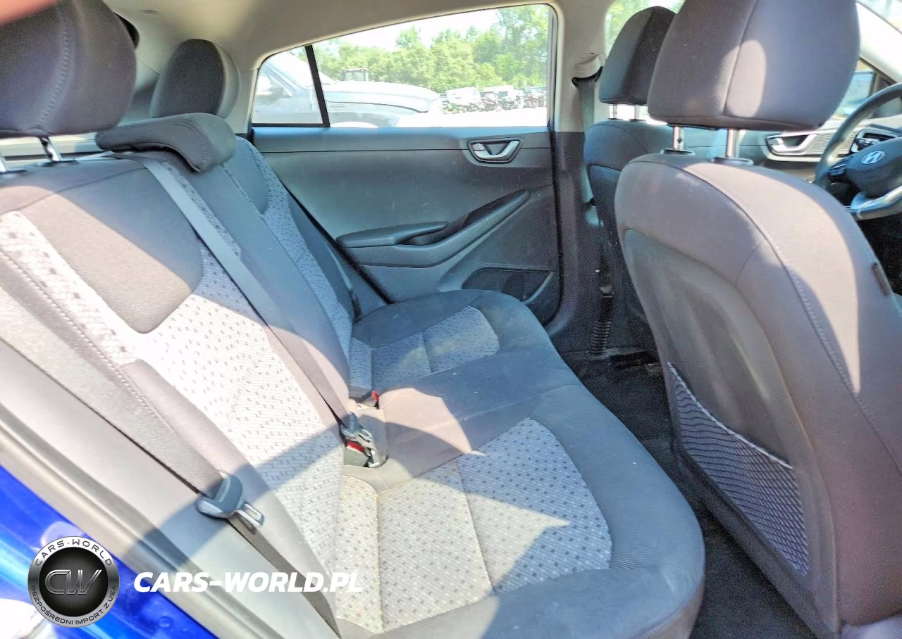 2019 Hyundai Ioniq Blue VIN:KMHC65LC1KU129290 - 10
