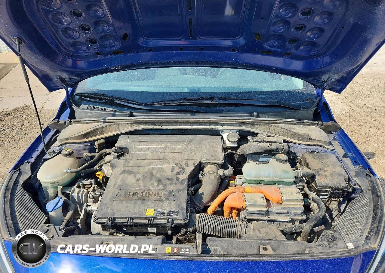 2019 Hyundai Ioniq Blue VIN:KMHC65LC1KU129290 - 11
