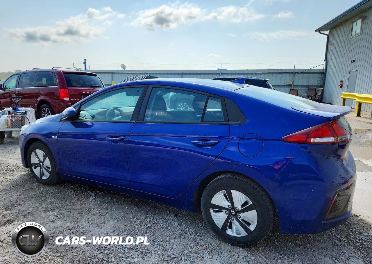 2019 Hyundai Ioniq Blue VIN:KMHC65LC1KU129290 - 2