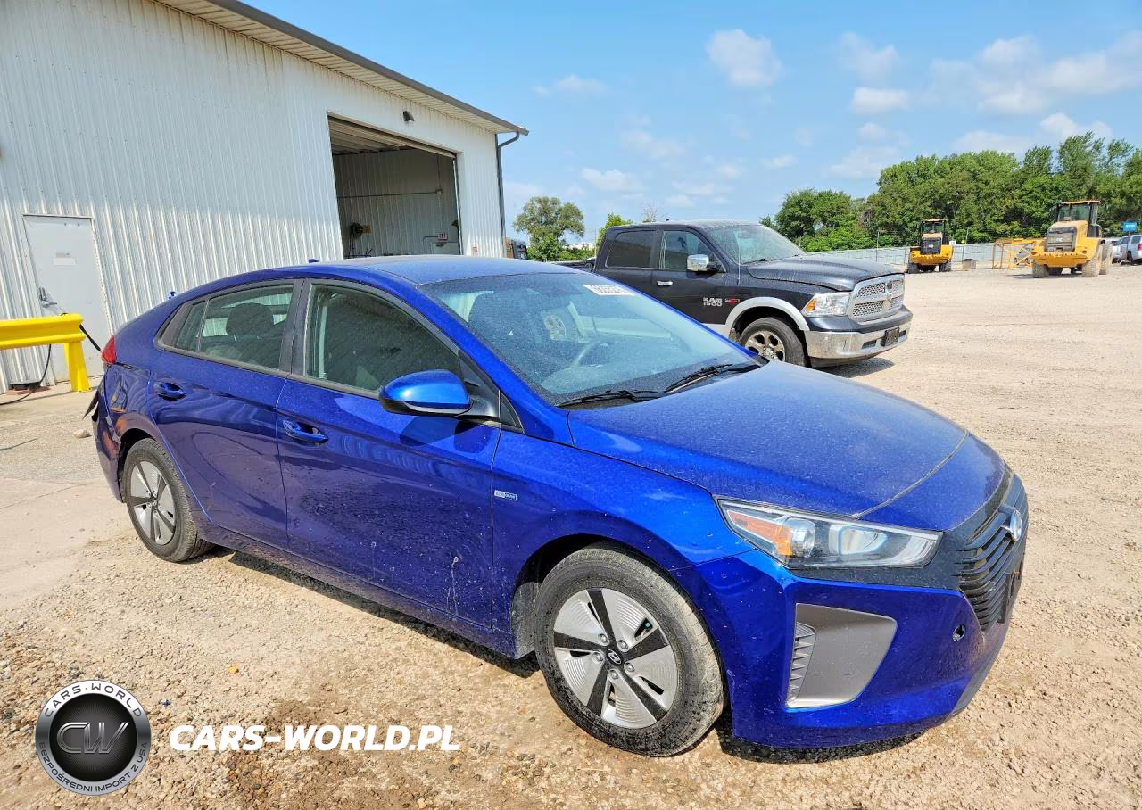2019 Hyundai Ioniq Blue VIN:KMHC65LC1KU129290 - 4