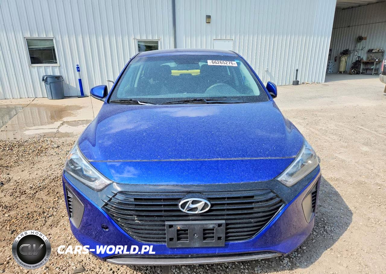 2019 Hyundai Ioniq Blue VIN:KMHC65LC1KU129290 - 5
