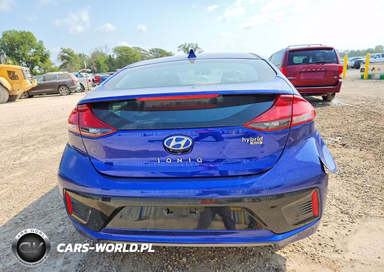 2019 Hyundai Ioniq Blue VIN:KMHC65LC1KU129290 - 6