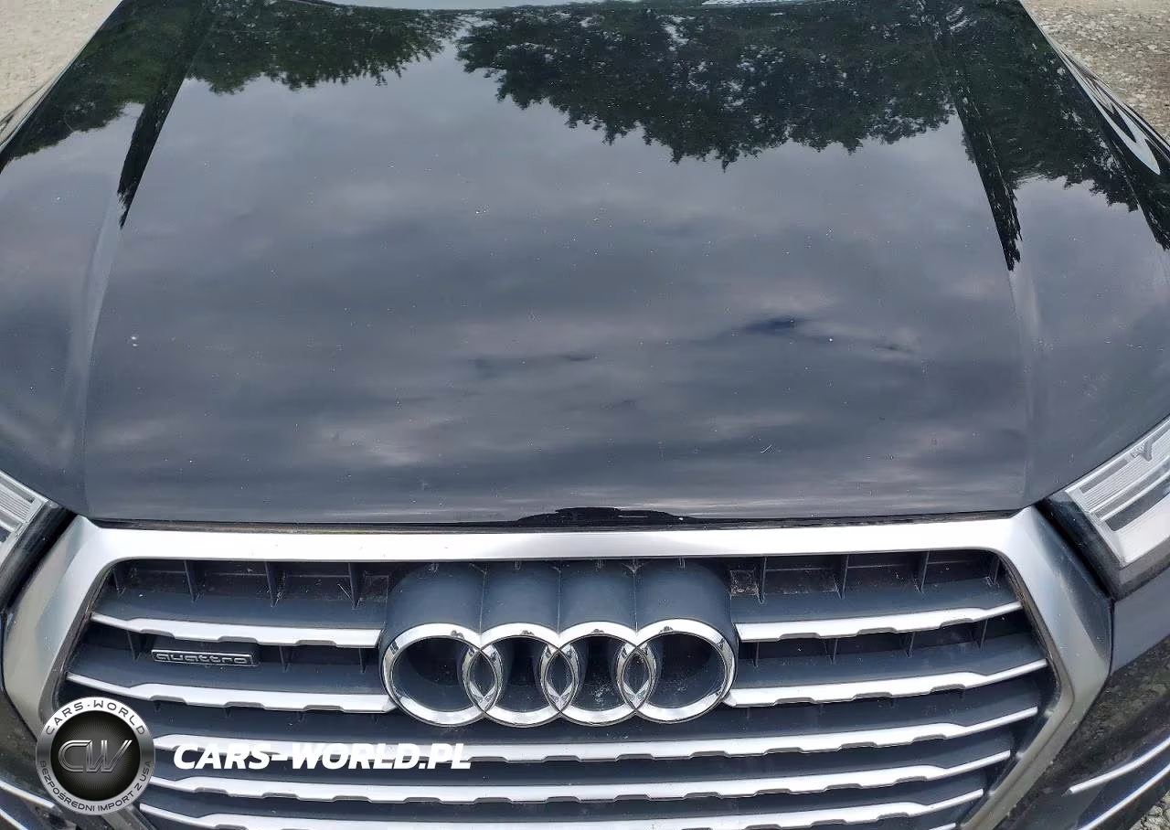 2017 Audi Q7 Premium Plus VIN:WA1LABF76HD033948 - 12