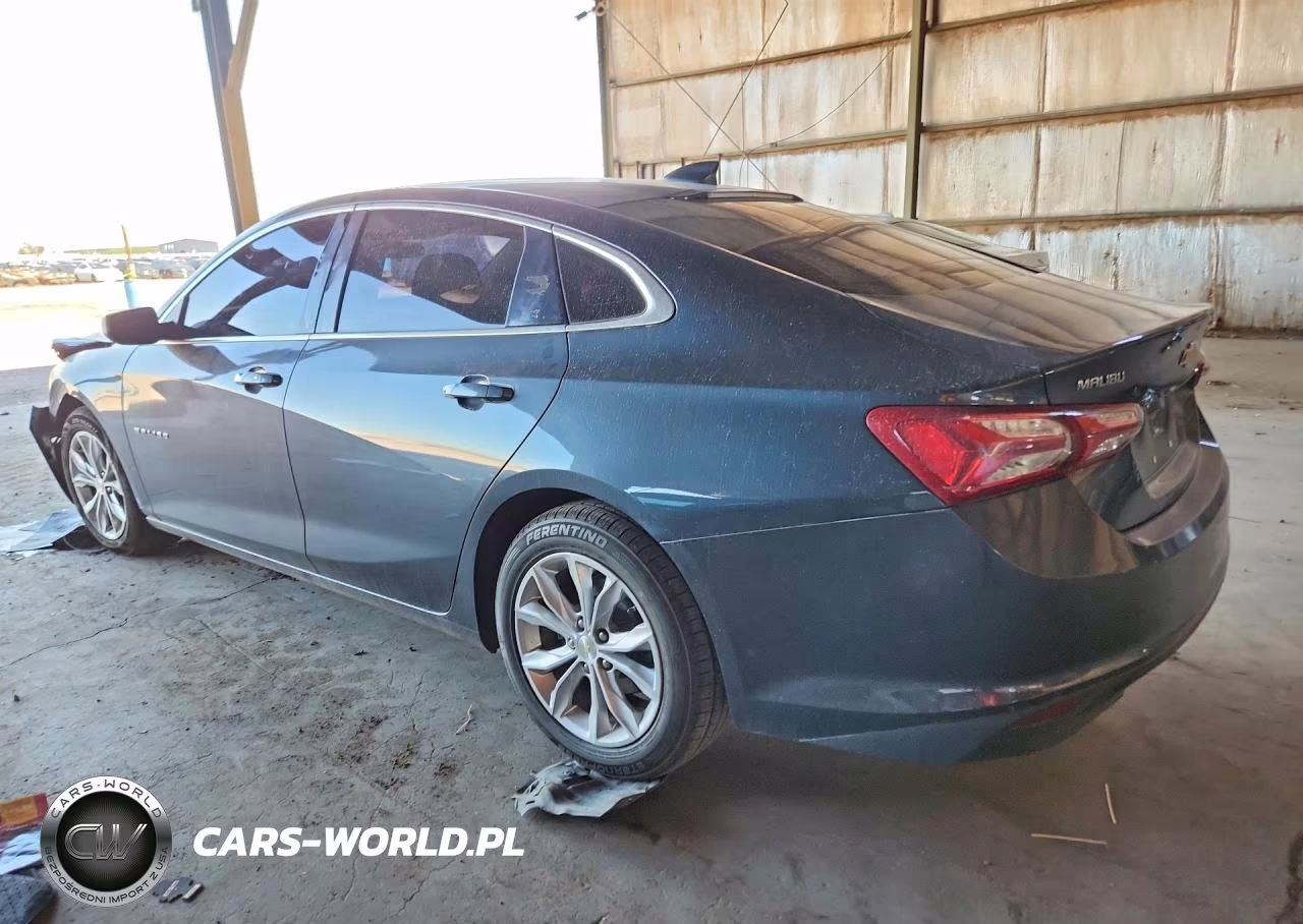 2019 Chevrolet Malibu Lt VIN:1G1ZD5ST7KF111007 - 2