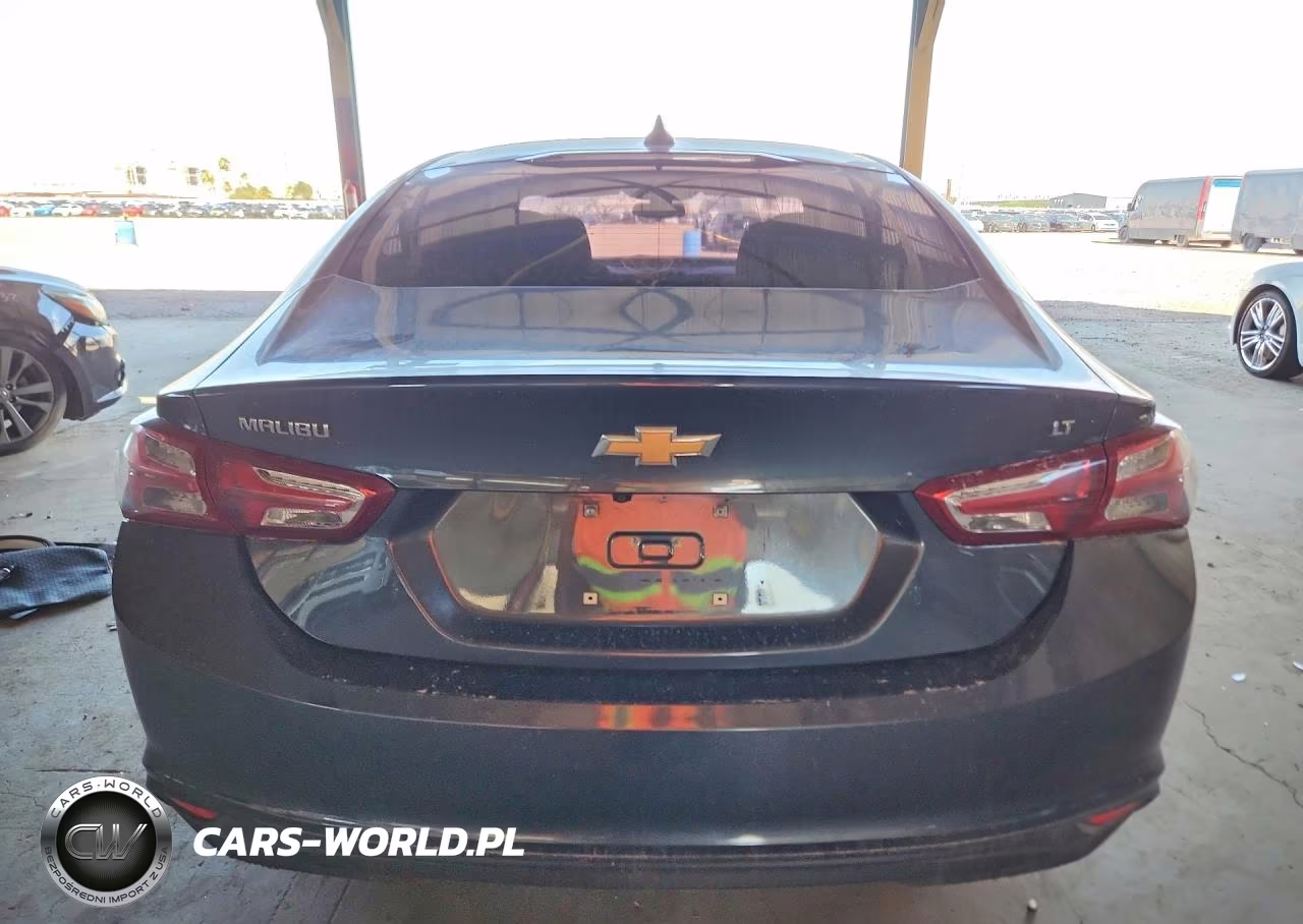2019 Chevrolet Malibu Lt VIN:1G1ZD5ST7KF111007 - 6