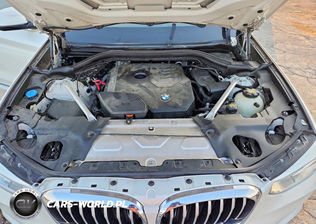 2020 BMW X3 Sdrive30I VIN:5UXTY3C05L9B22079 - 12