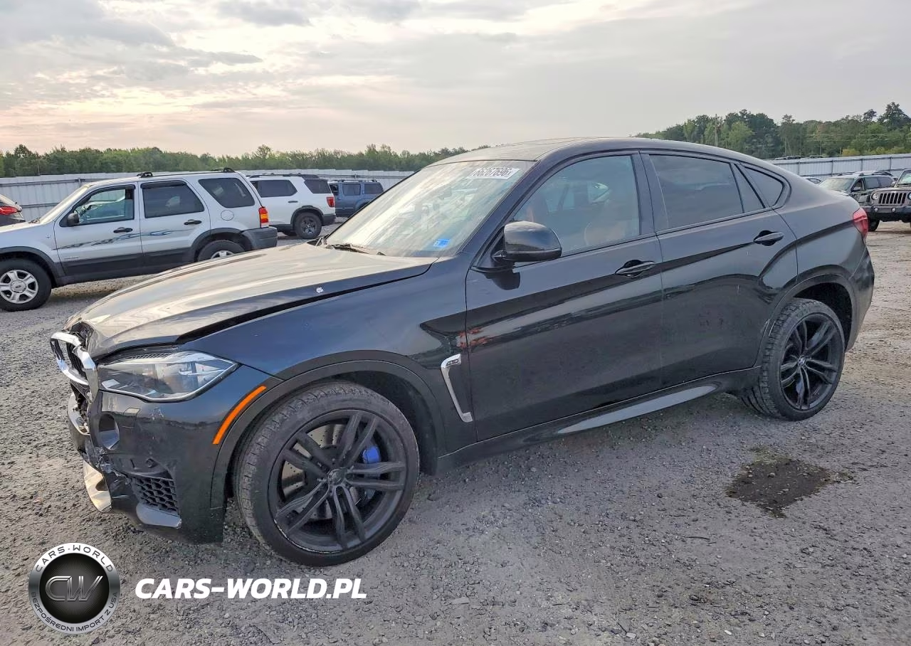 2017 BMW X6 M