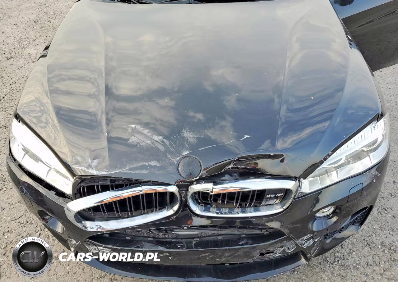 2017 BMW X6 M VIN:5YMKW8C30H0U72181 - 12