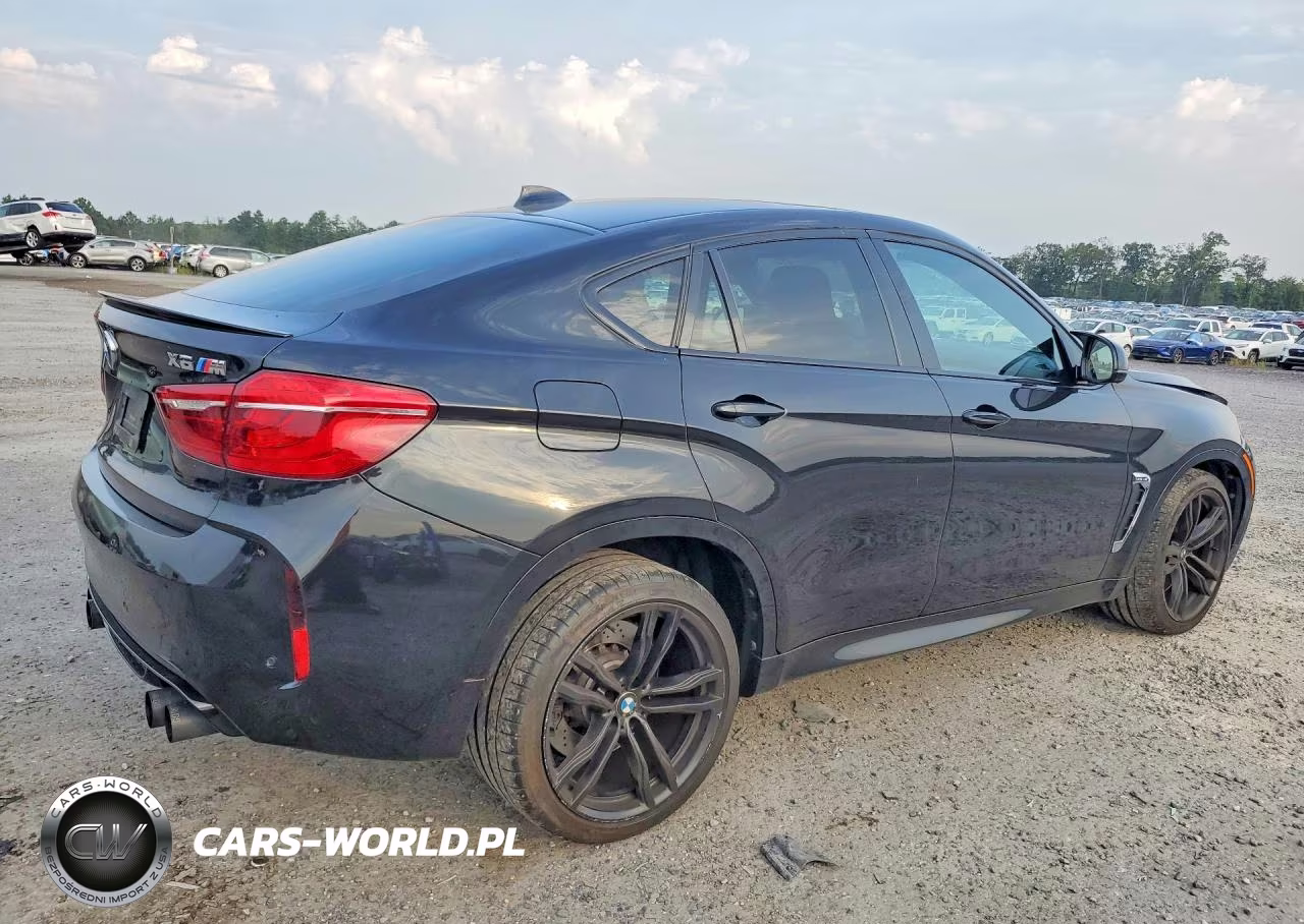 2017 BMW X6 M VIN:5YMKW8C30H0U72181 - 3