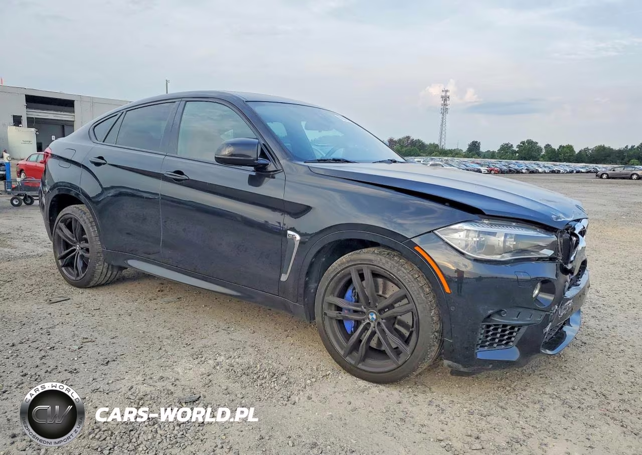 2017 BMW X6 M VIN:5YMKW8C30H0U72181 - 4