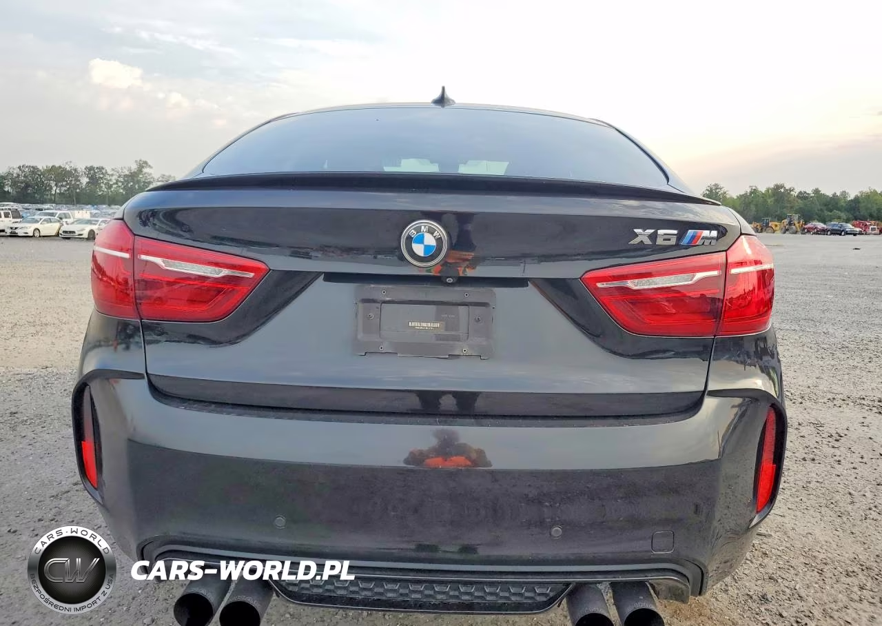 2017 BMW X6 M VIN:5YMKW8C30H0U72181 - 6