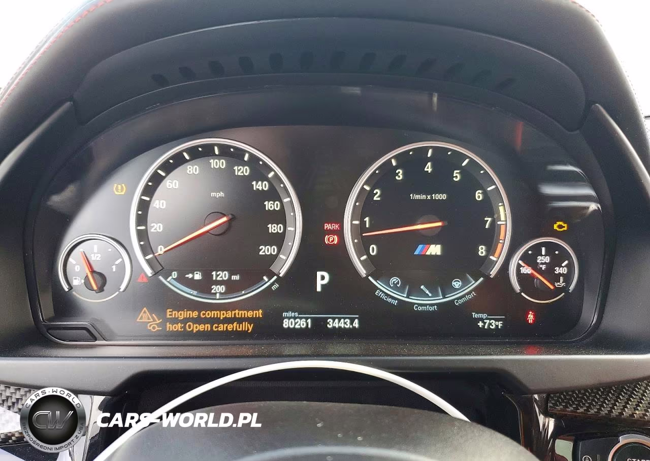 2017 BMW X6 M VIN:5YMKW8C30H0U72181 - 9