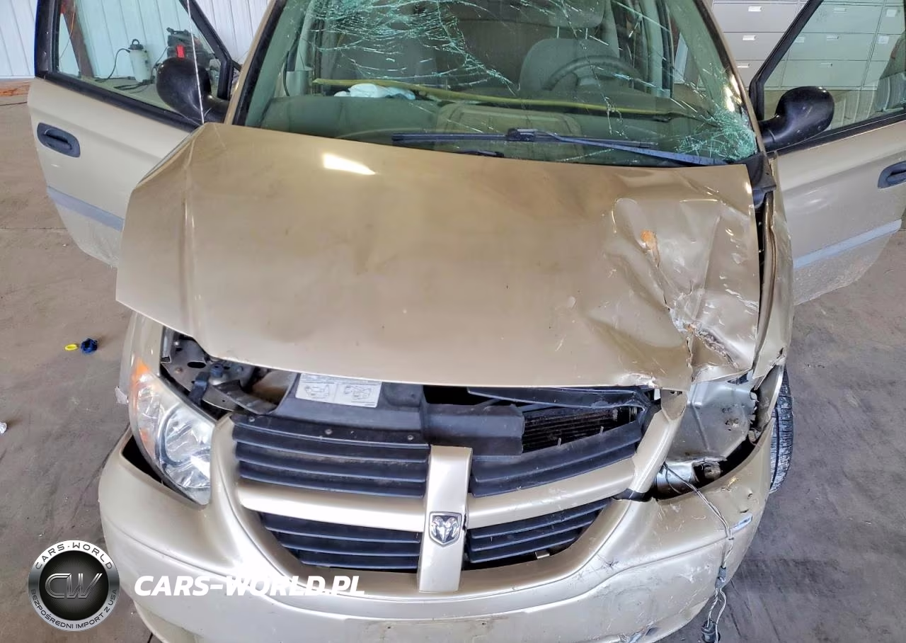 2006 Dodge Grand Caravan Se VIN:1D4GP24R16B695846 - 12