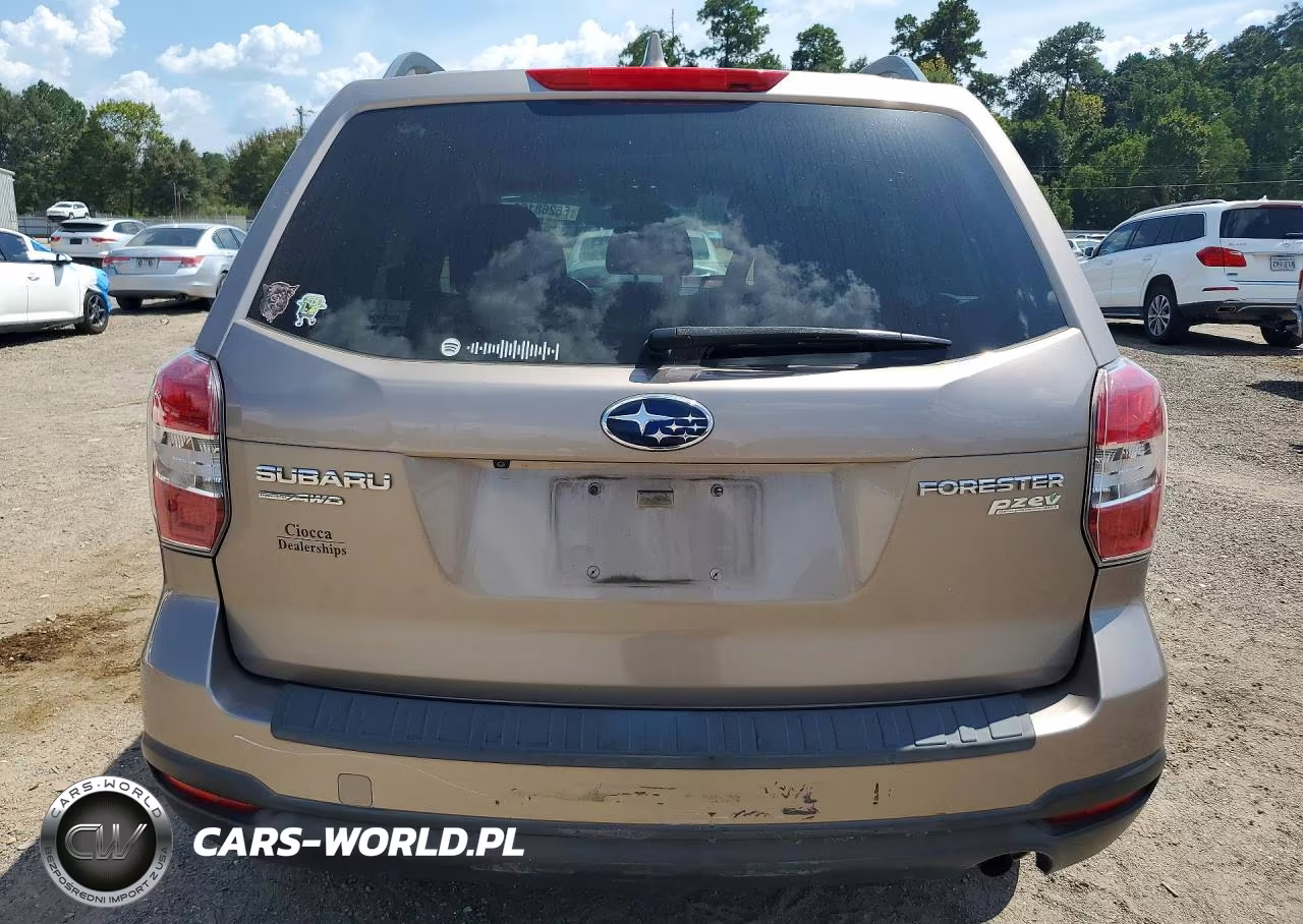 2016 Subaru Forester 2.5I Premium VIN:JF2SJAFC8GH548001 - 6