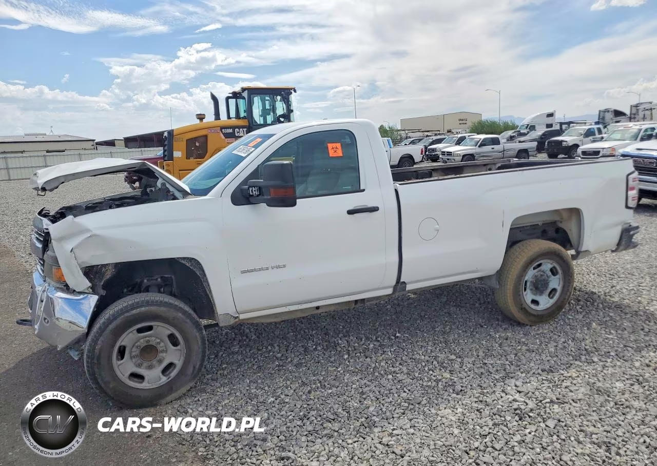 2018 Chevrolet Silverado C2500 Heavy Duty VIN:1GC0CUEG5JZ317192 - 1