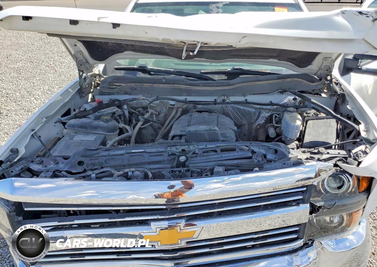 2018 Chevrolet Silverado C2500 Heavy Duty VIN:1GC0CUEG5JZ317192 - 12