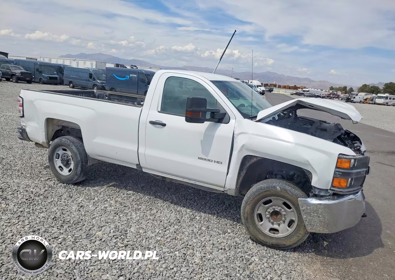 2018 Chevrolet Silverado C2500 Heavy Duty VIN:1GC0CUEG5JZ317192 - 4