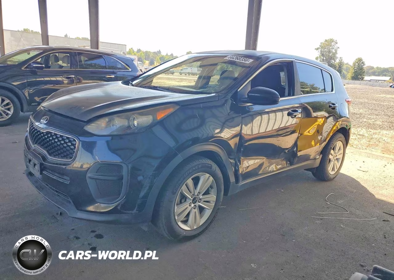 2017 Kia Sportage Lx VIN:KNDPM3AC0H7134412 - 1