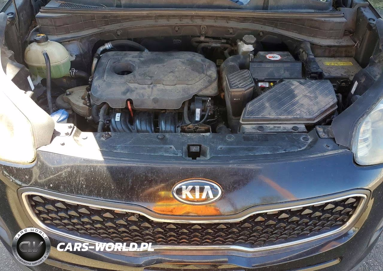 2017 Kia Sportage Lx VIN:KNDPM3AC0H7134412 - 11