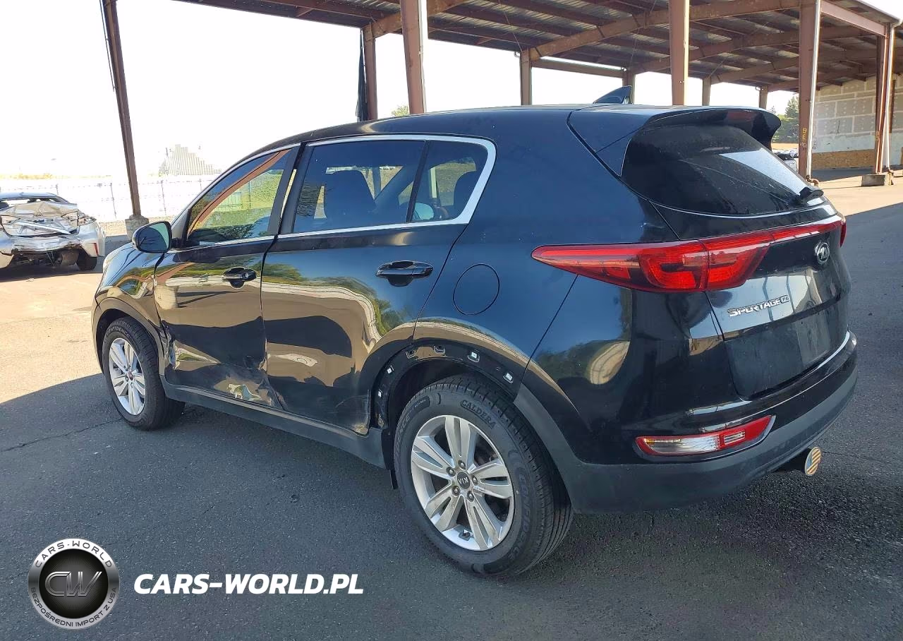 2017 Kia Sportage Lx VIN:KNDPM3AC0H7134412 - 2