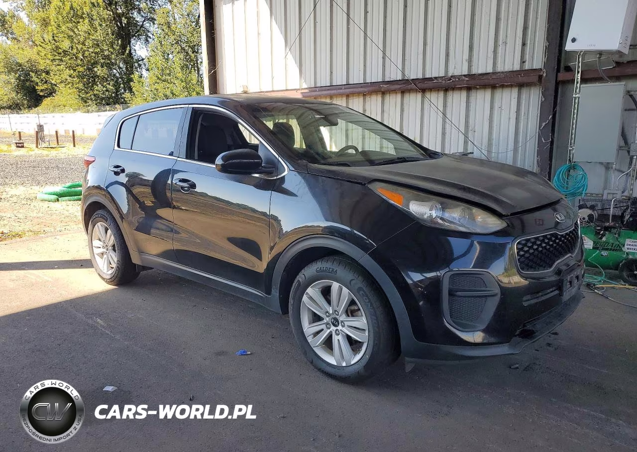 2017 Kia Sportage Lx VIN:KNDPM3AC0H7134412 - 4