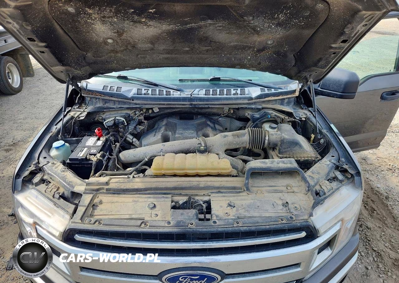 2019 Ford F150 Supercrew VIN:1FTEW1E4XKKC89336 - 11