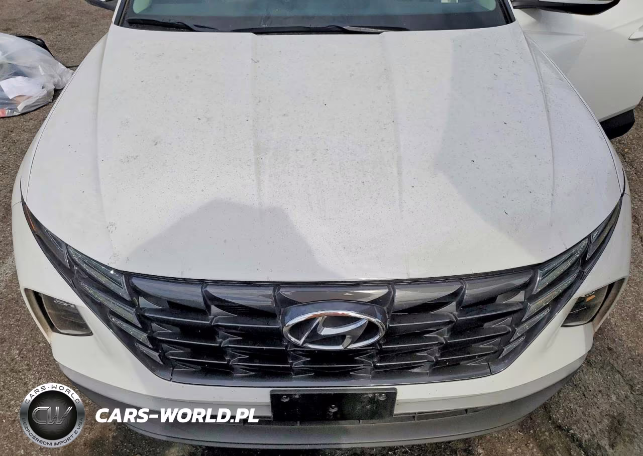 2023 Hyundai Tucson Sel VIN:5NMJF3AE6PH289071 - 12