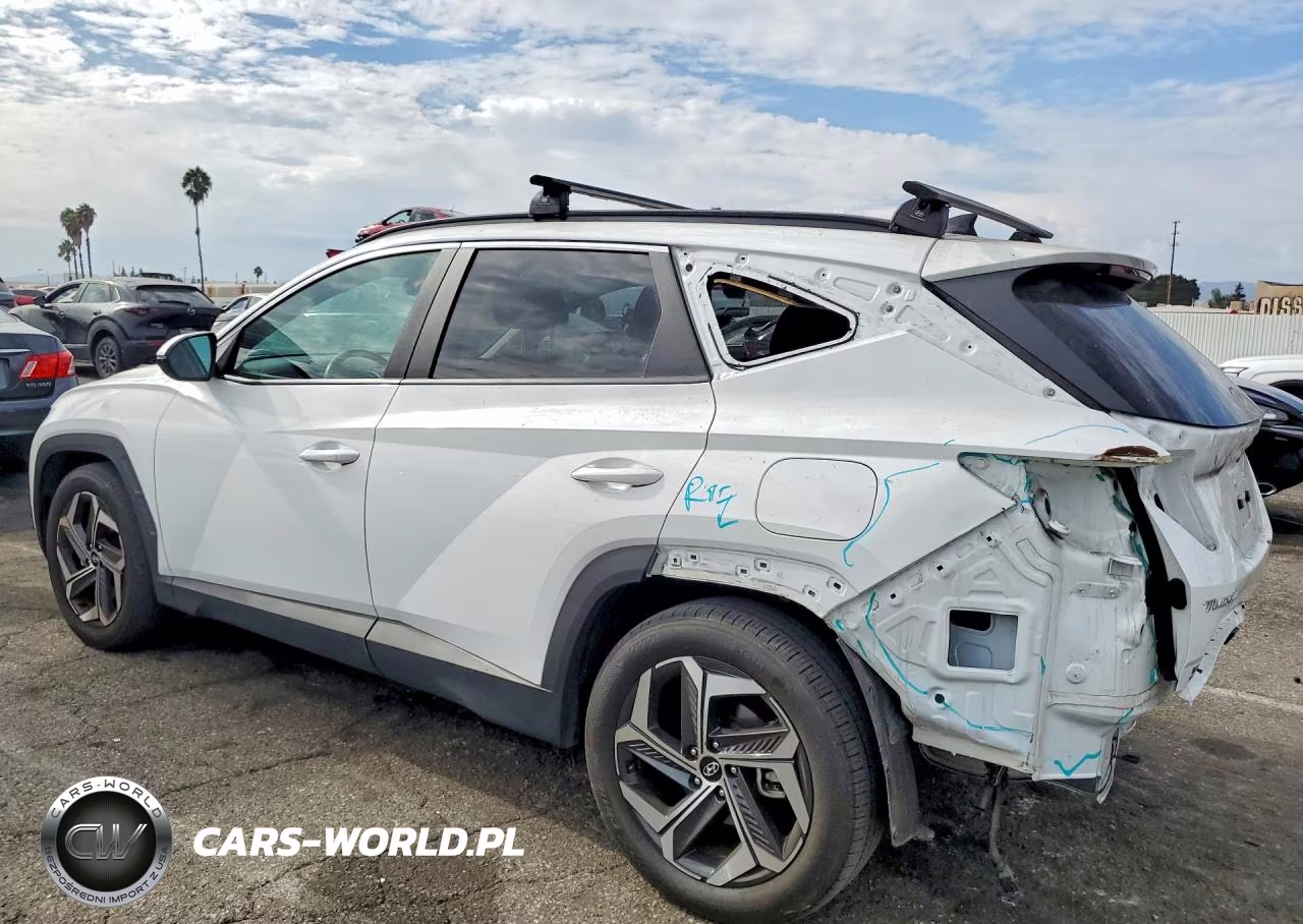 2023 Hyundai Tucson Sel VIN:5NMJF3AE6PH289071 - 2