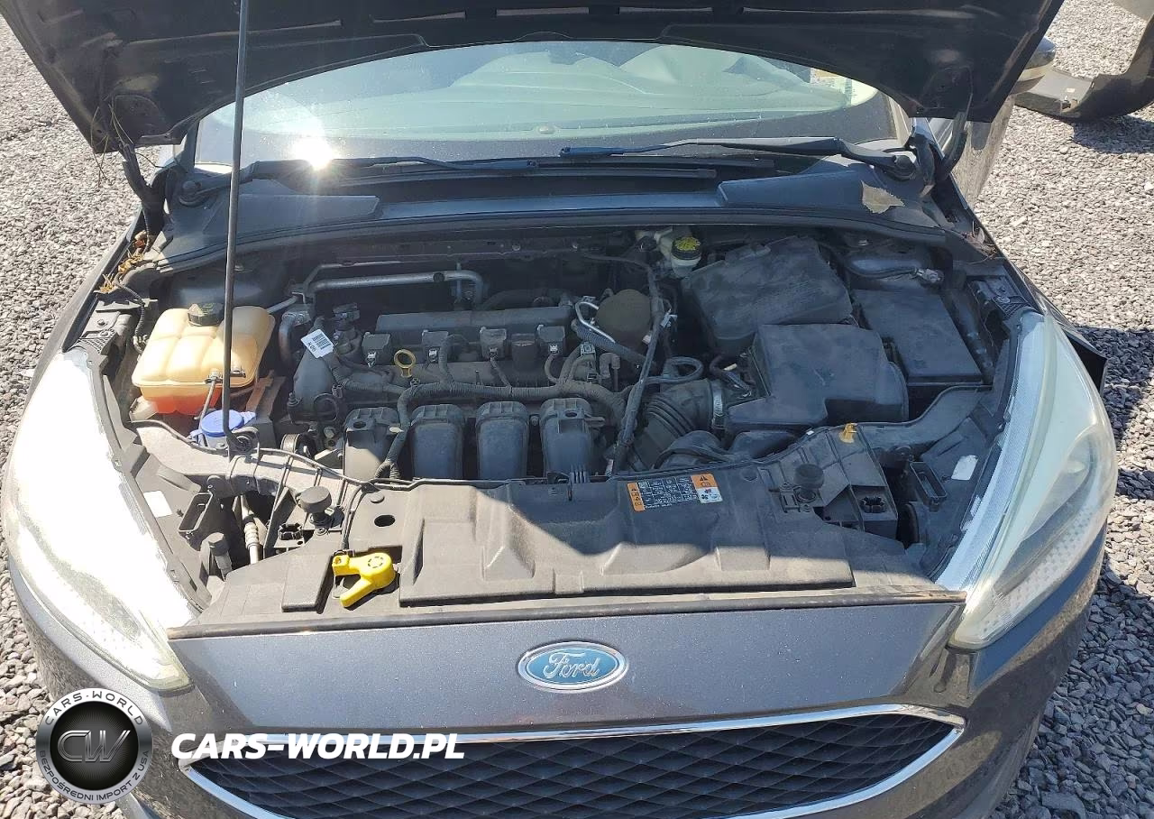 2015 Ford Focus Se VIN:1FADP3F21FL313840 - 11