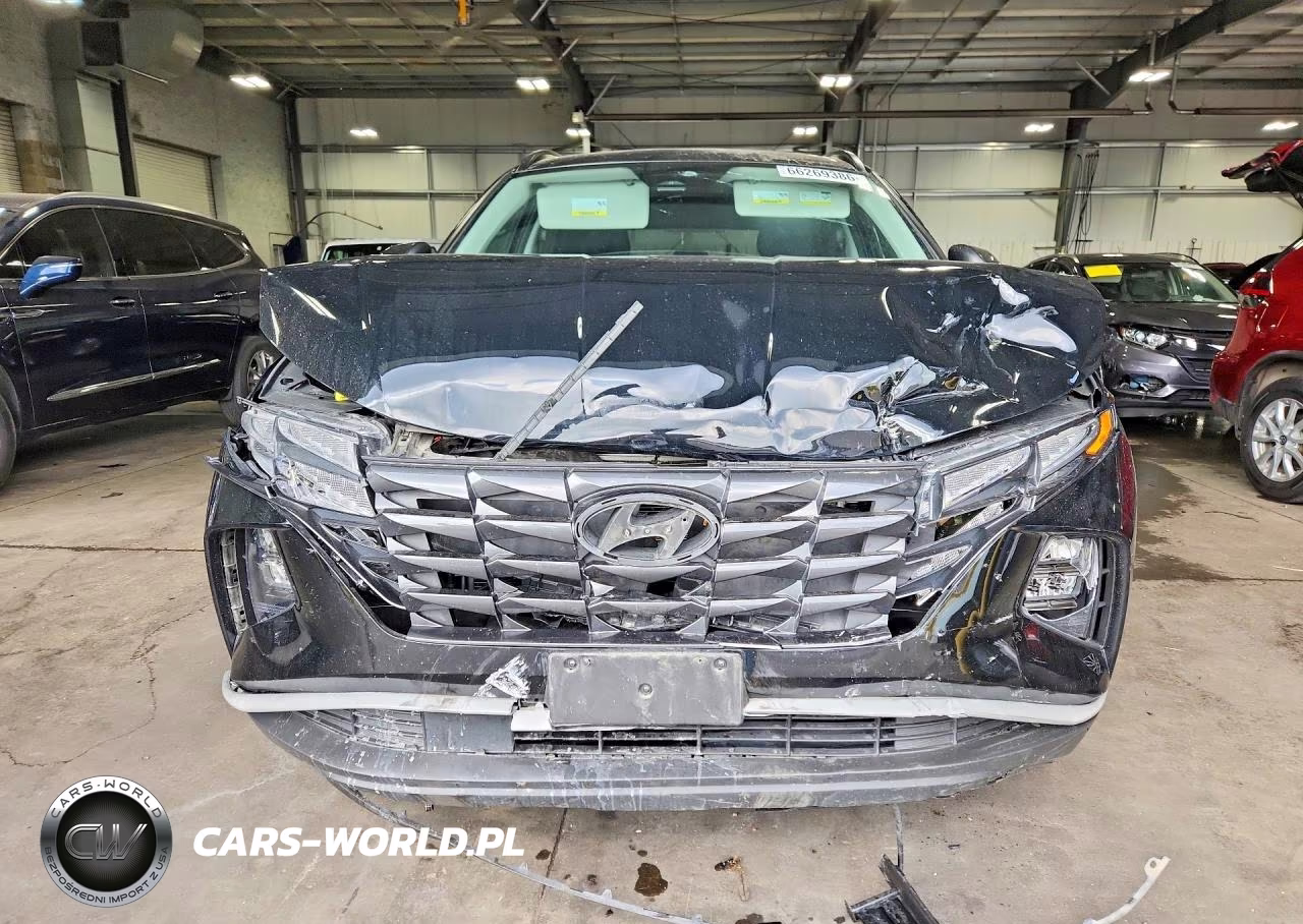 2023 Hyundai Tucson Sel VIN:5NMJBCAE8PH259260 - 5