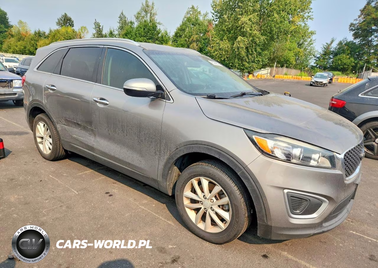 2017 Kia Sorento Lx VIN:5XYPG4A38HG257150 - 4